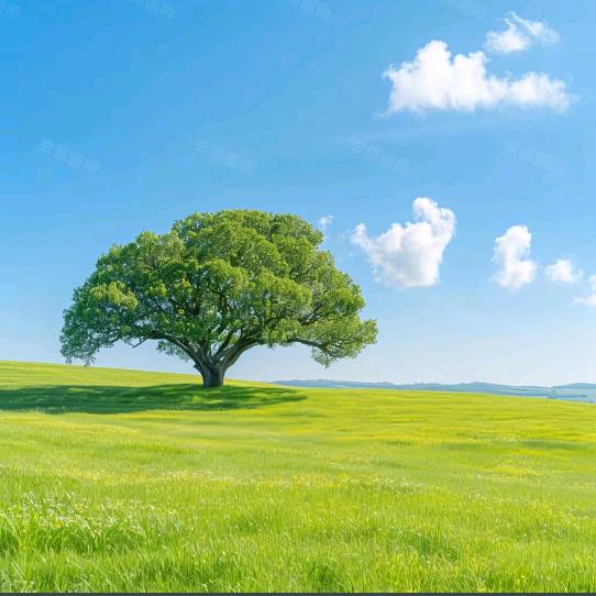 ！（我和你）！