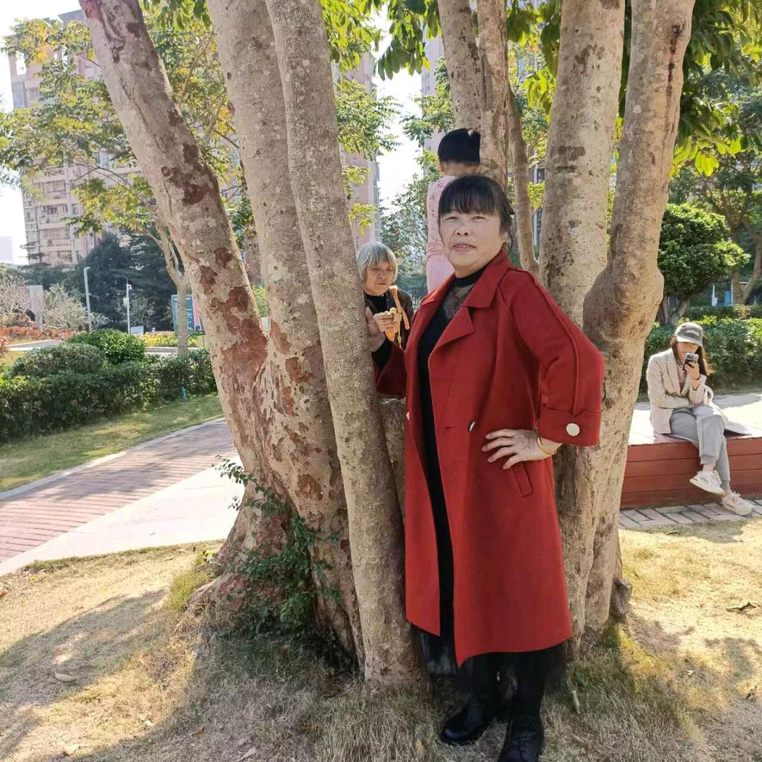 喜鹊