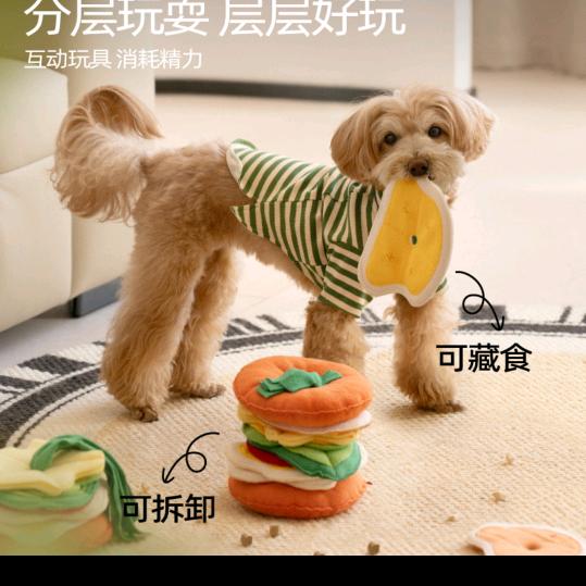 宠悦的宠物