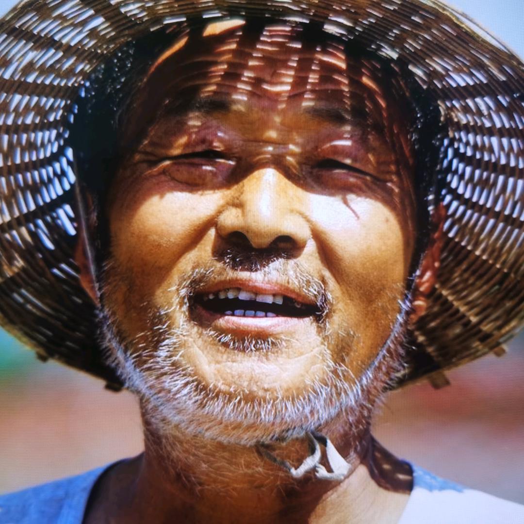 山东烟花