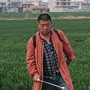 河南老乡