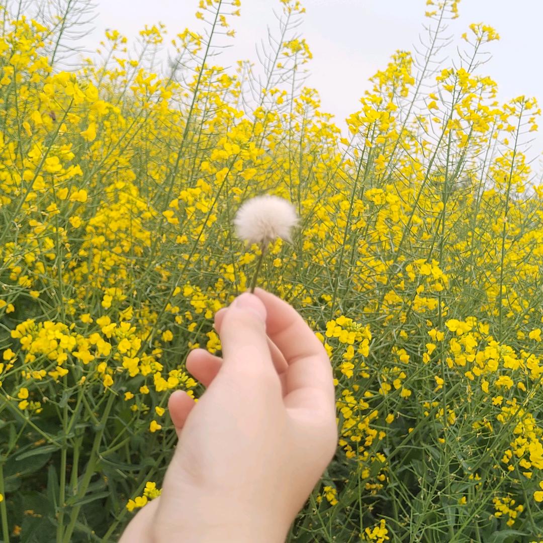 ~快乐一生