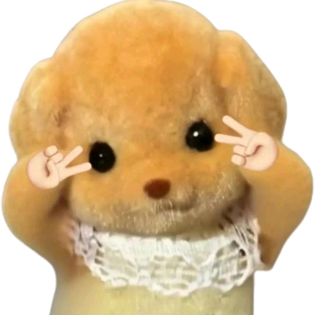 。..。