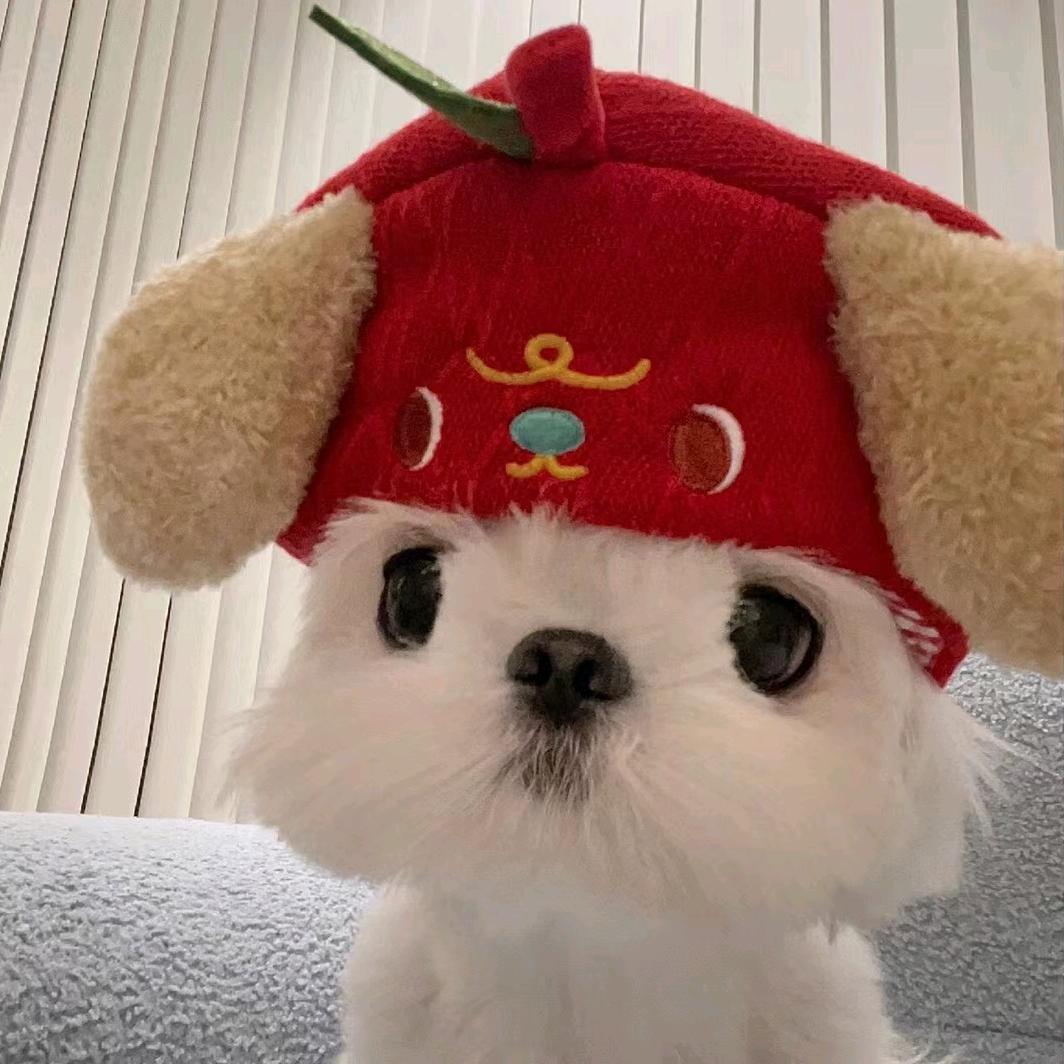 饿傻了