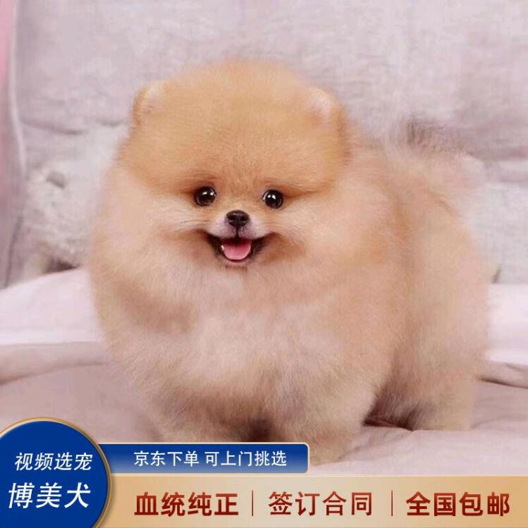 承诺
