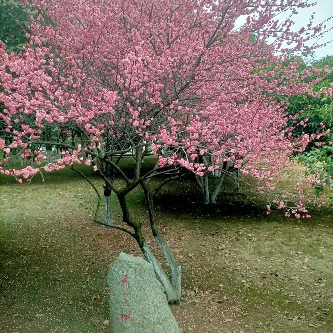 用户1700479058417