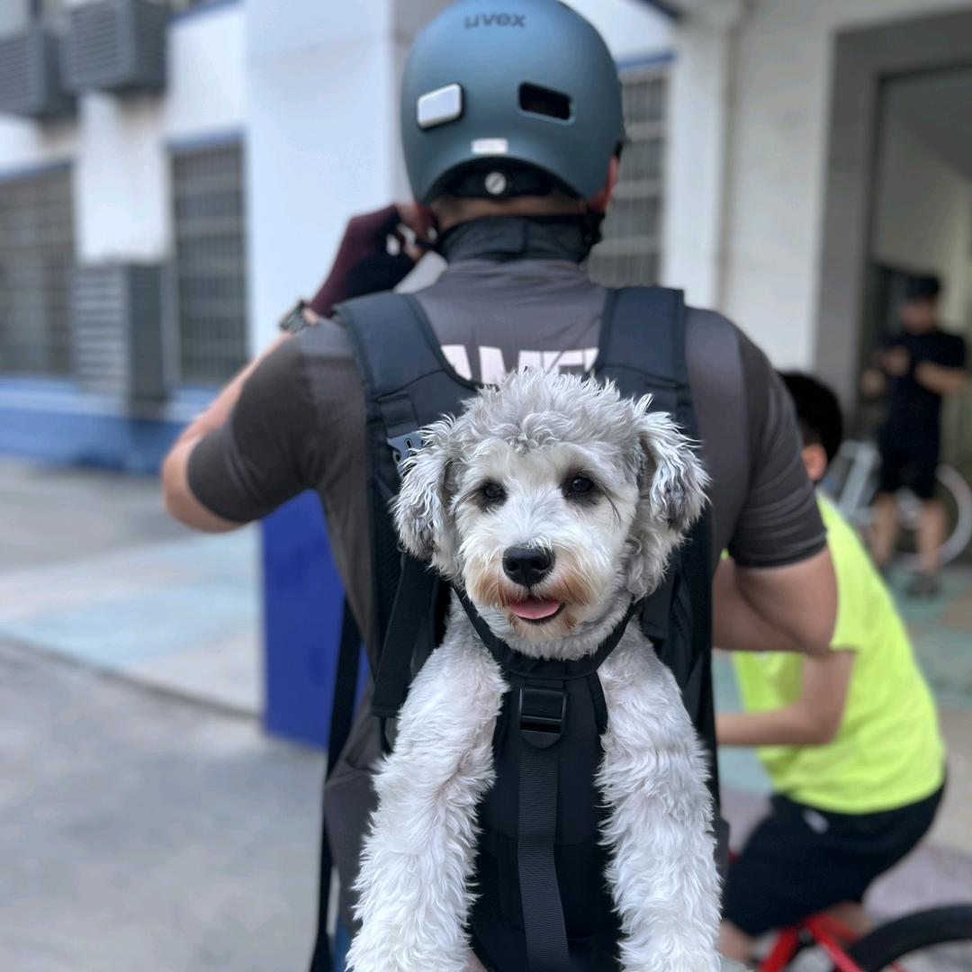 阿华仔