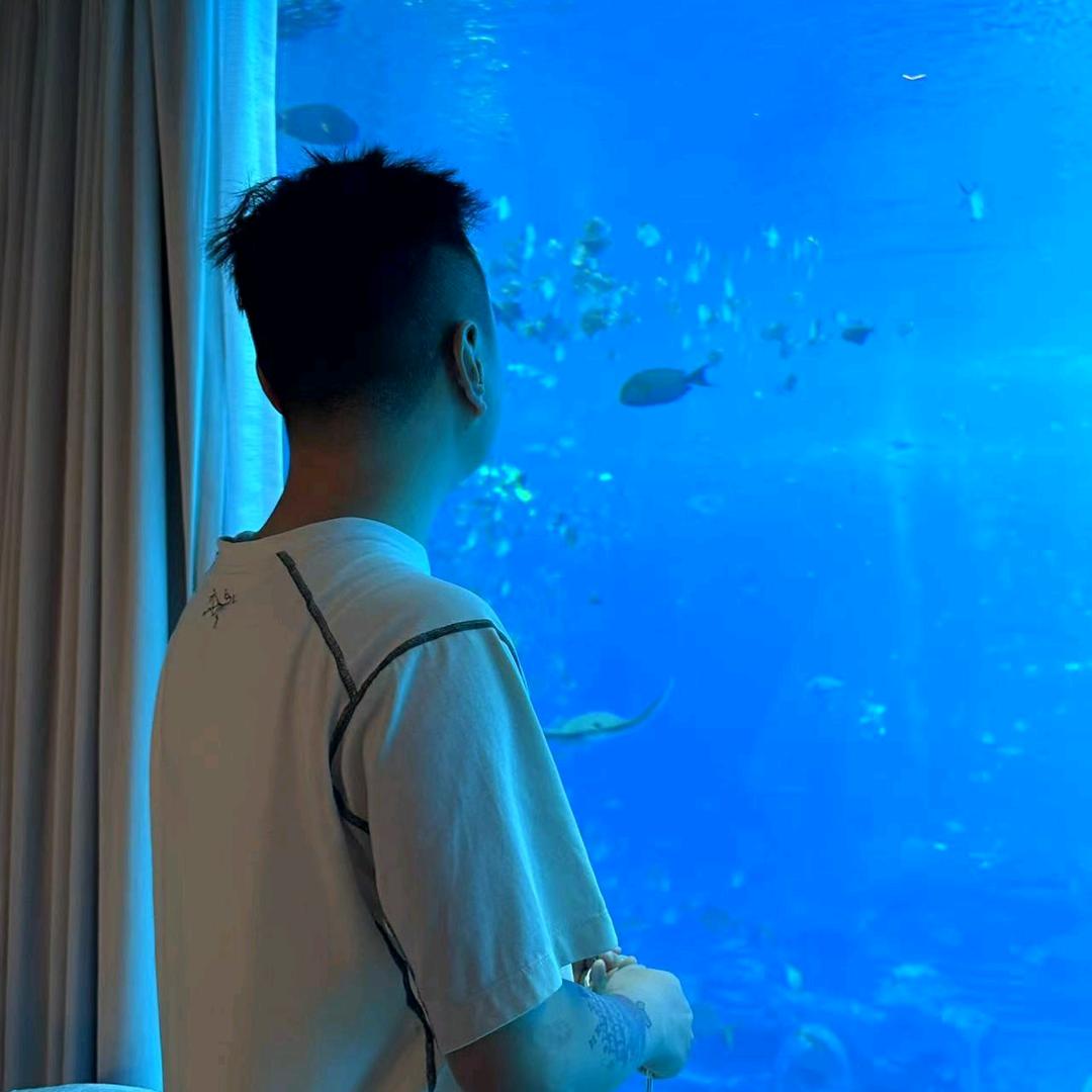 大头玩车日记