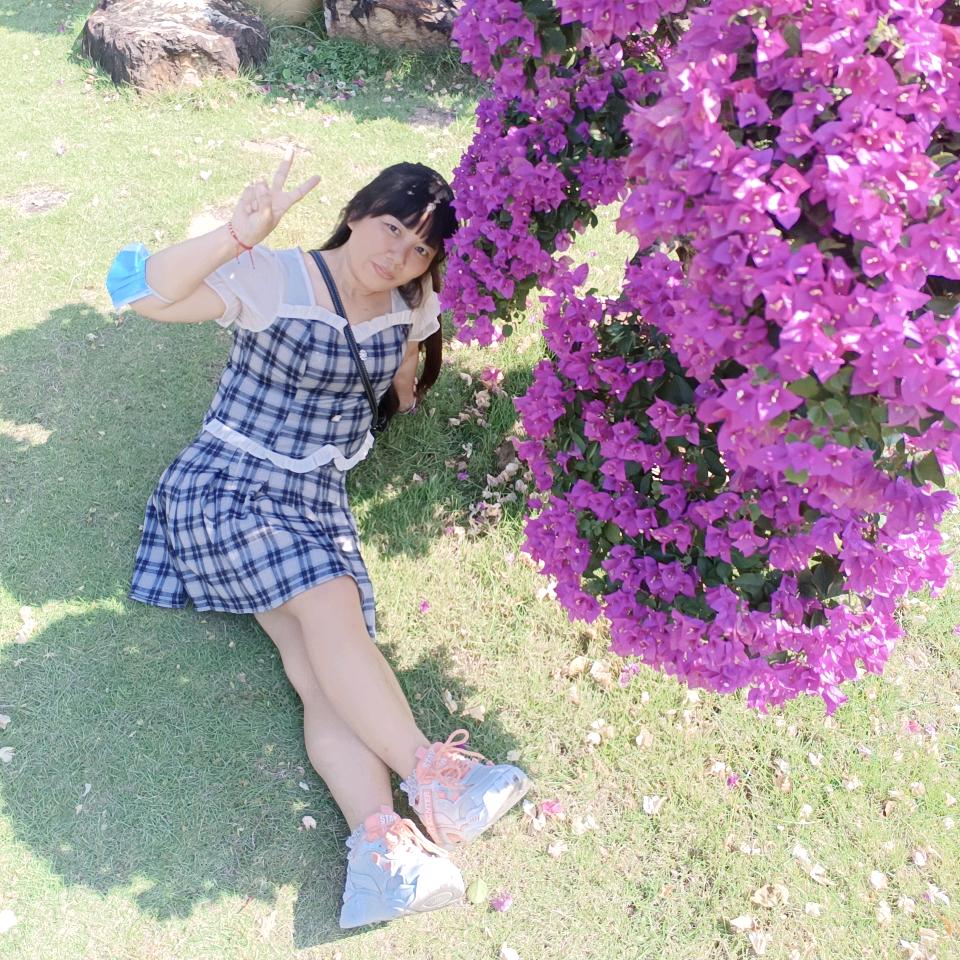 艾叶草