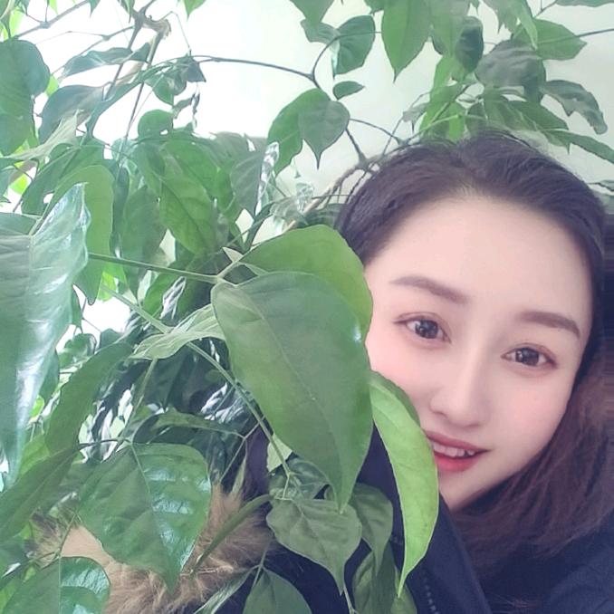开心菜菜