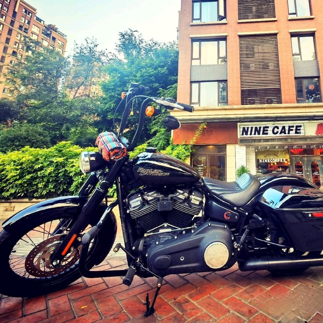 Bug👹 𓆡𓆝𓆟