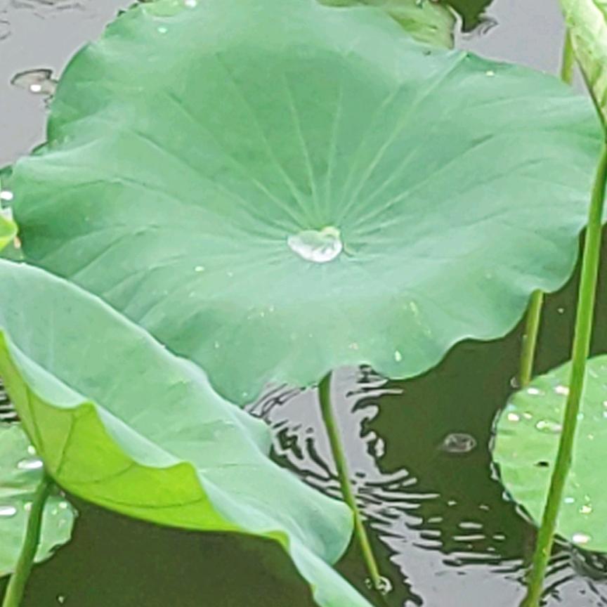 芯 ❤蕊(拒绝私聊)