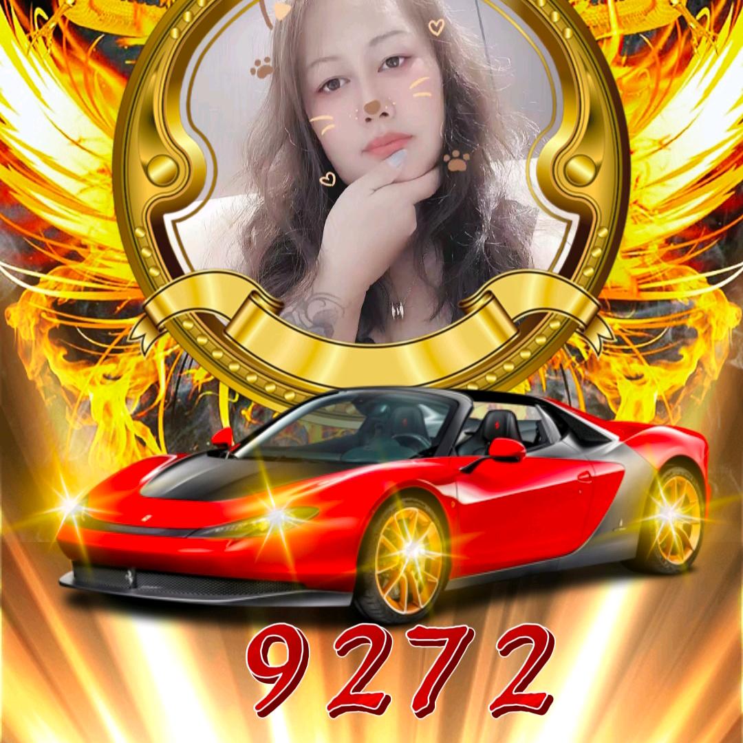 FEIBAO（9272）（航）