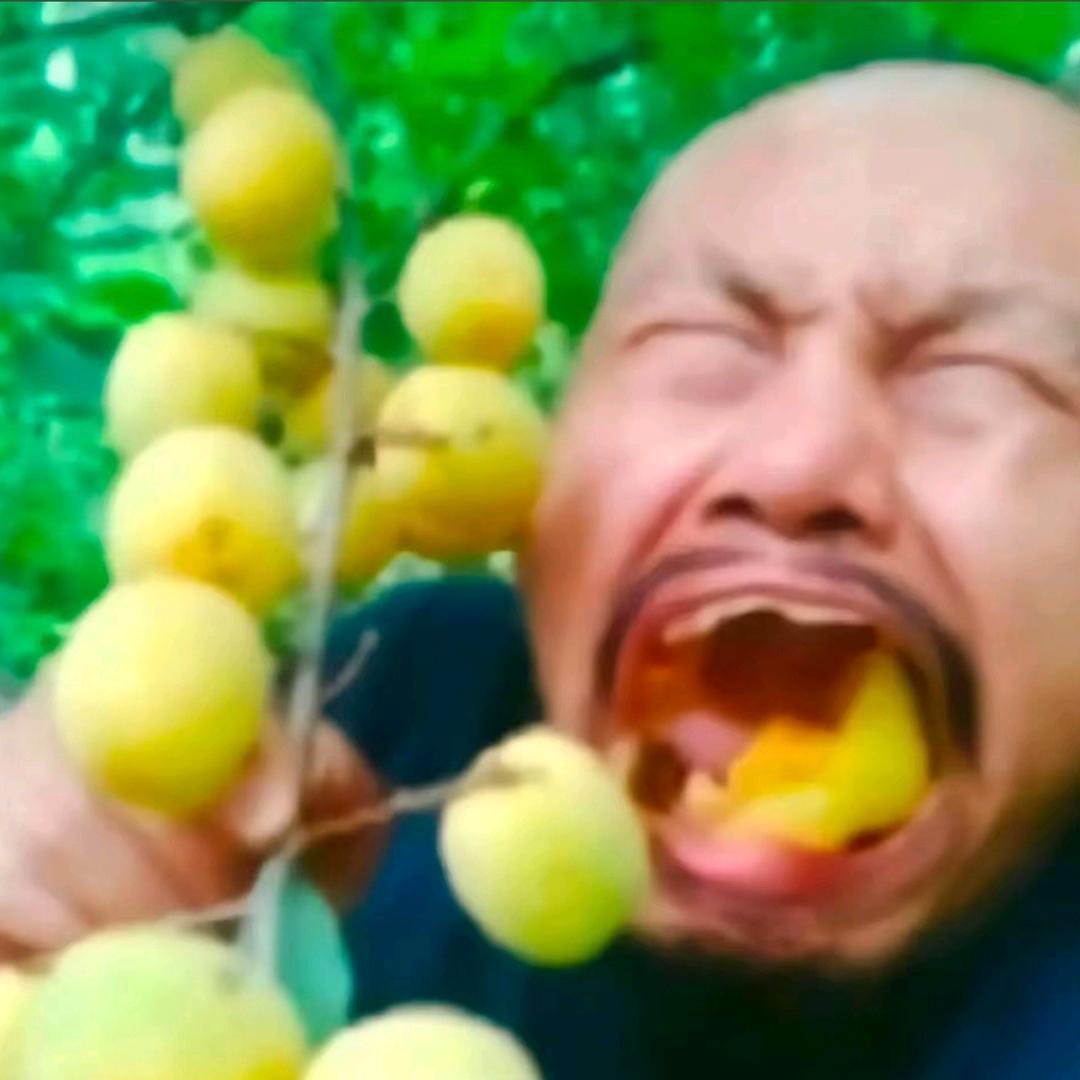不讲李