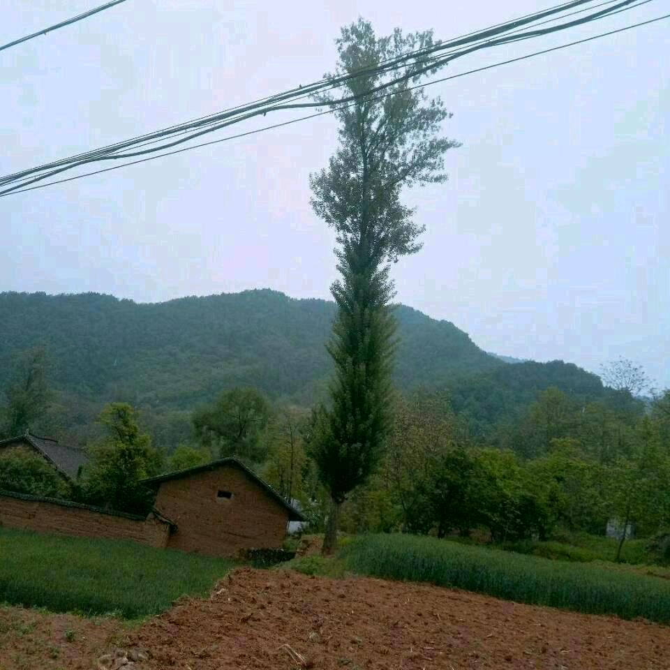 风云天下。