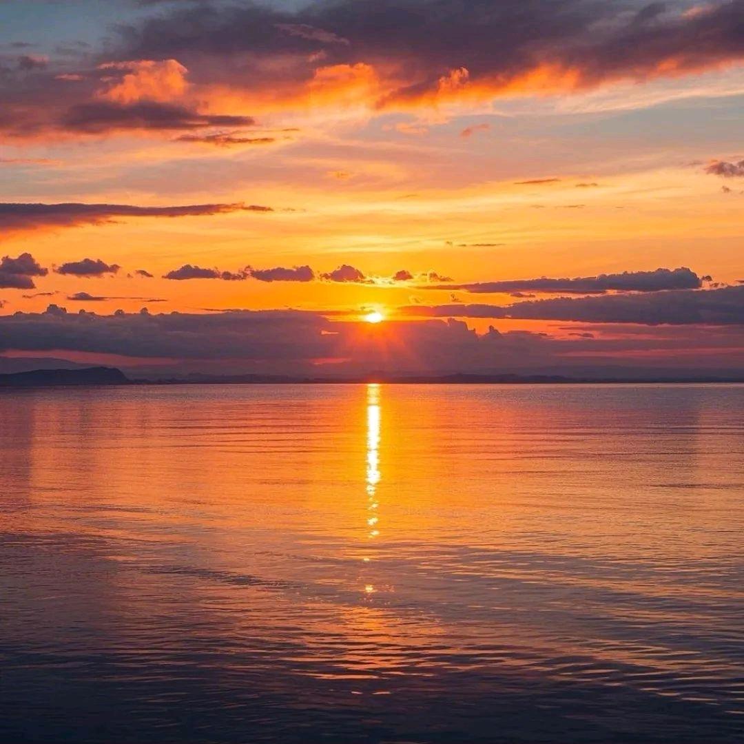 「“粽”有千般好，唯你最“粽”要！～刘赟