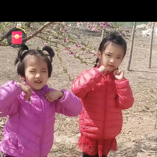 嘉乐