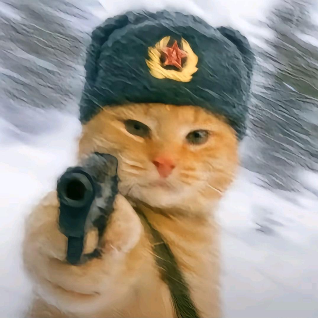 不散的风