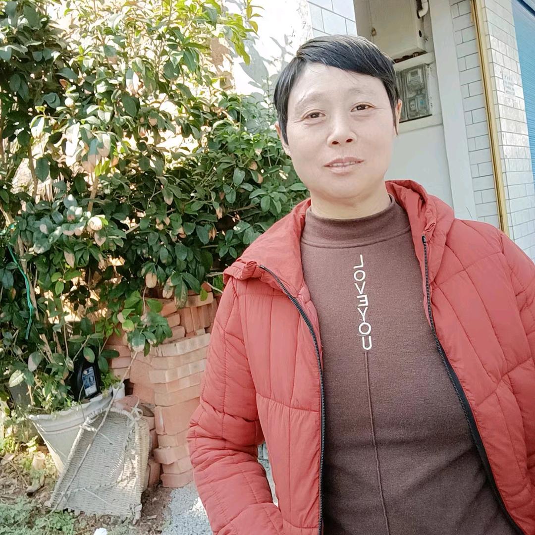 搬砖的周姐