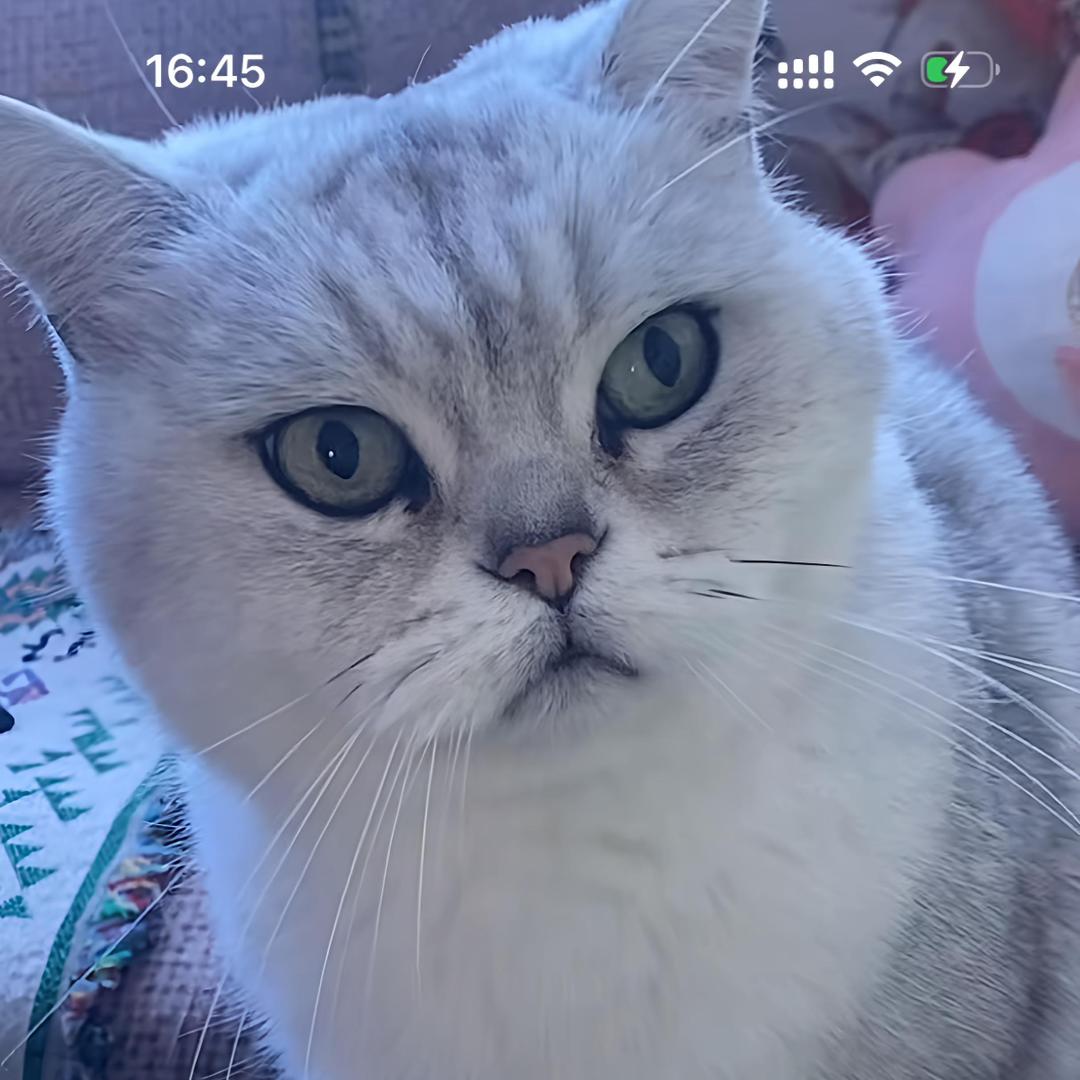 .ℒℴ執ᮩꦿ唸ᮩvℯ.