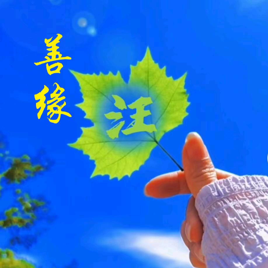 🌈༺阿༻༺文༻༺呀༻🐭✨