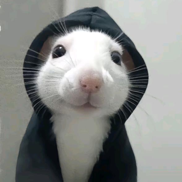 平常心