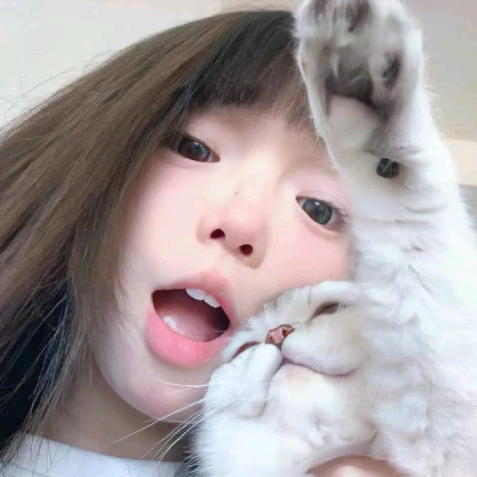 ❌飞你裤衩