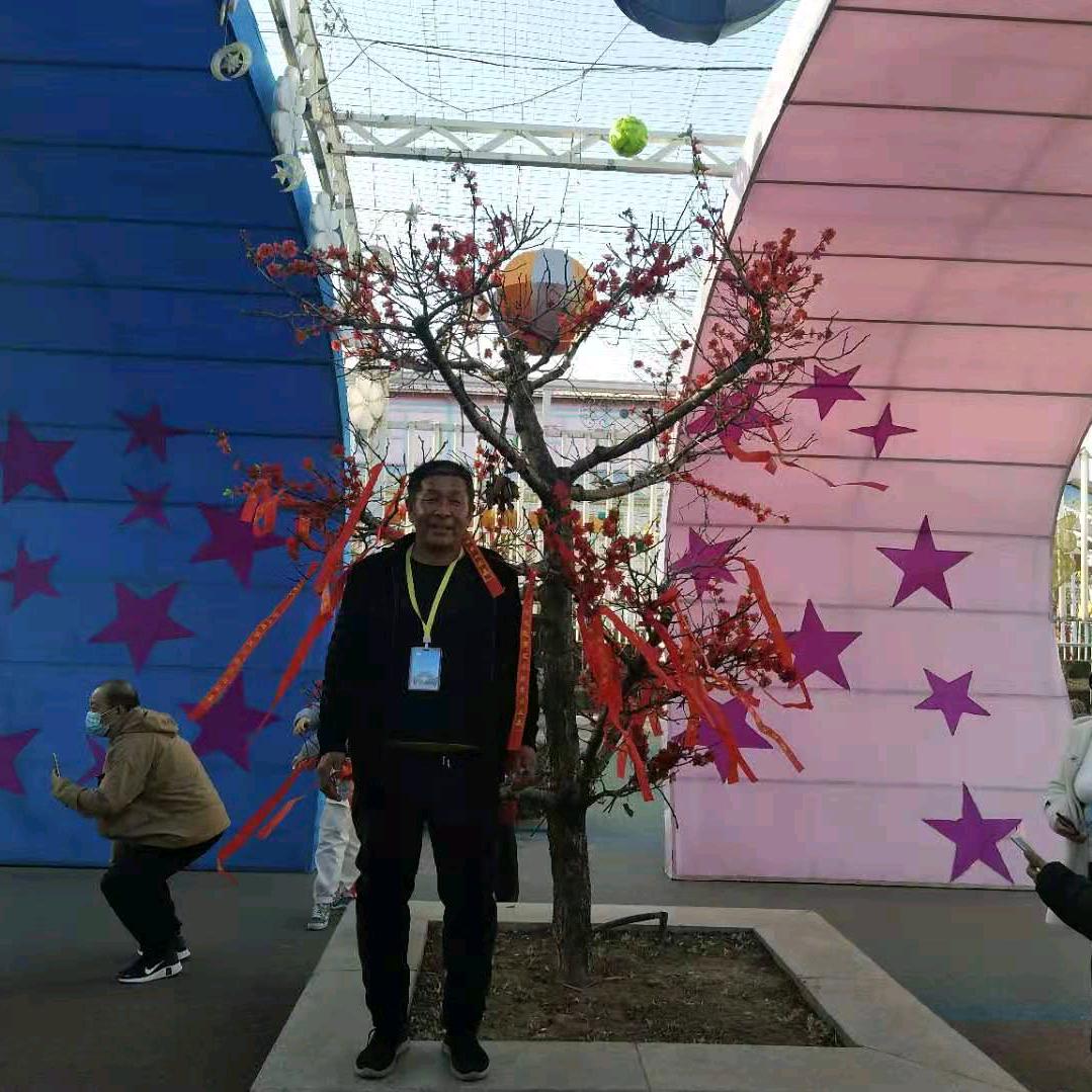中国龙