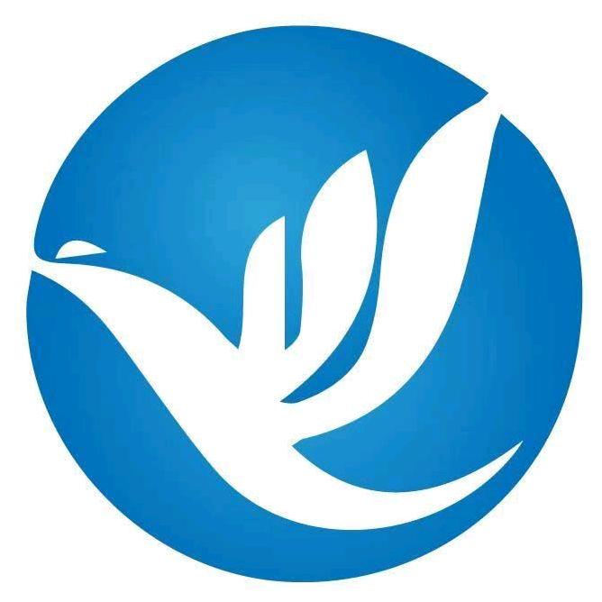 霸派【瓷锆美】