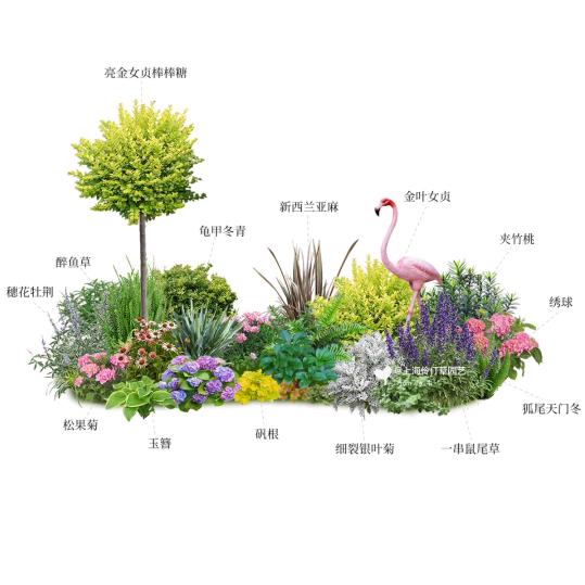 花田绿植盆栽基地
