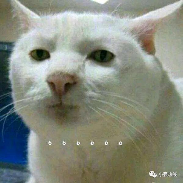 庞得标