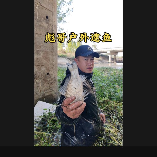 彪哥户外逮鱼