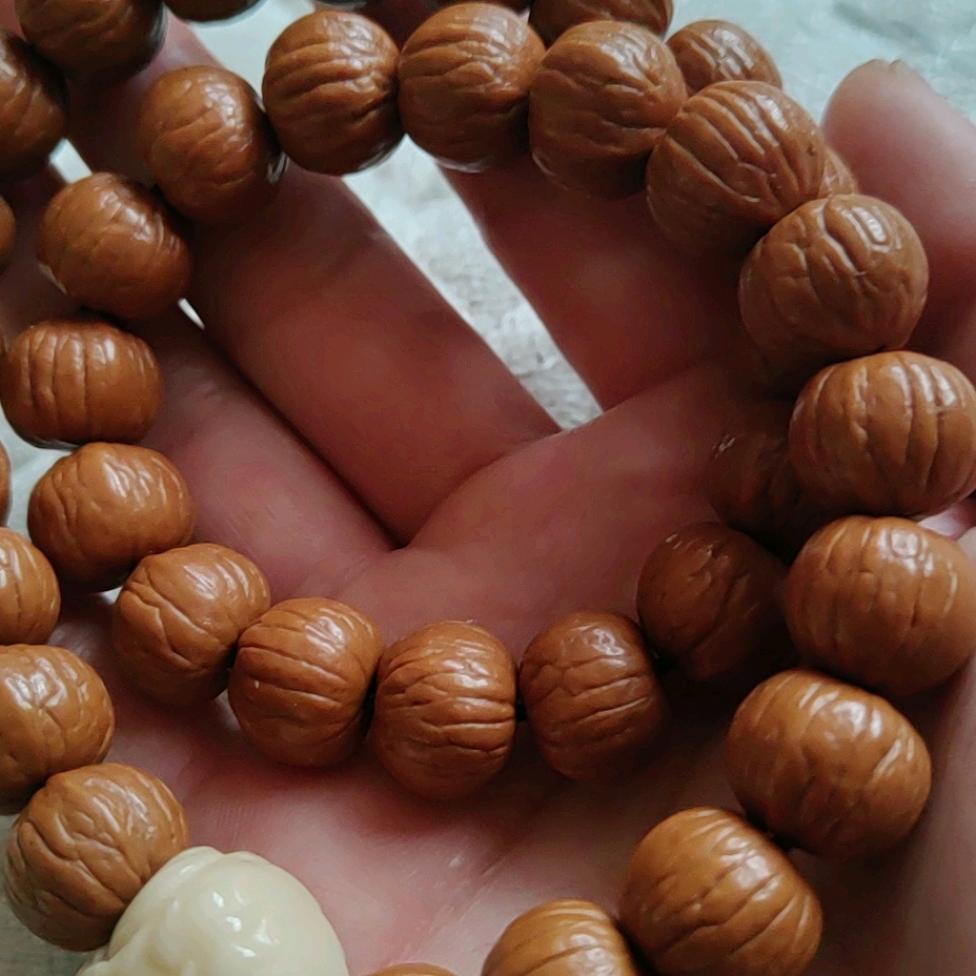 向前看～向厚赚