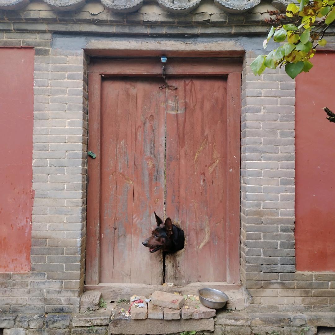 羲和臻品文化馆