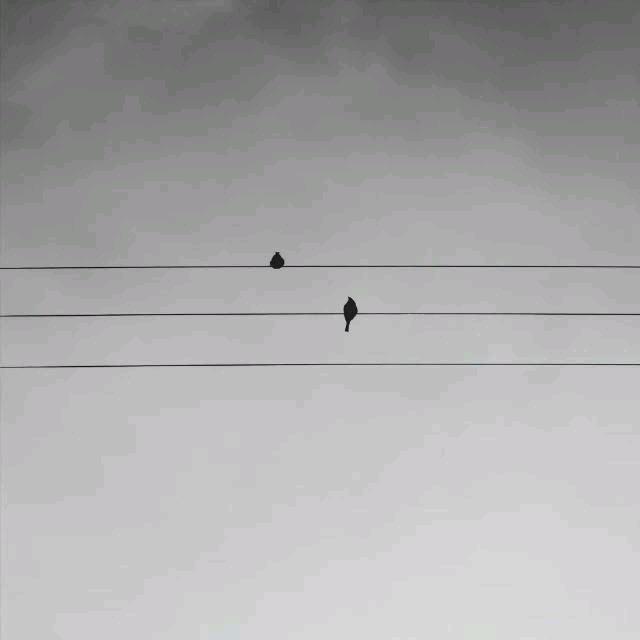 1700088840