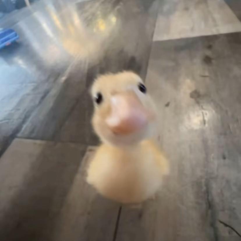 Yᴏ̆̈ᴜ̆̈