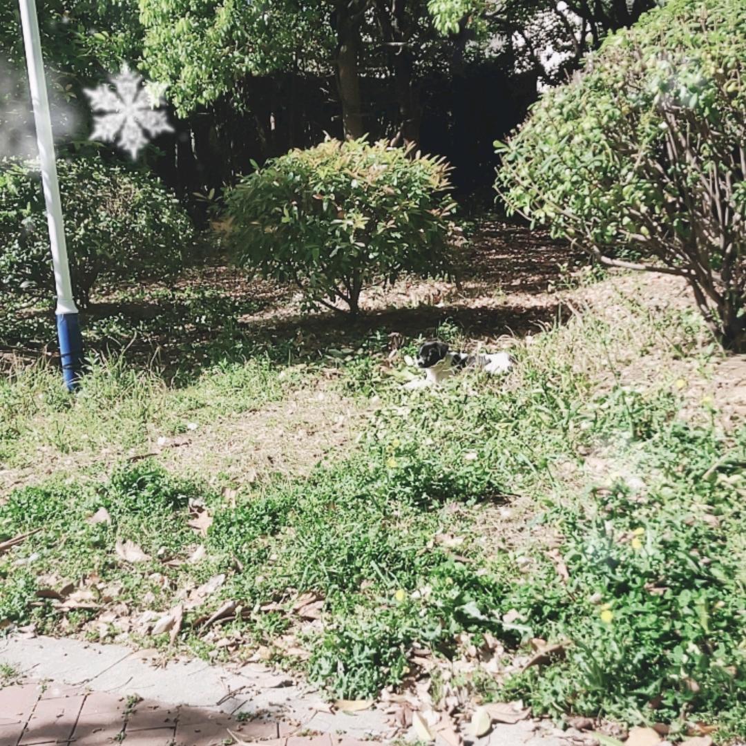 王姐聊家长