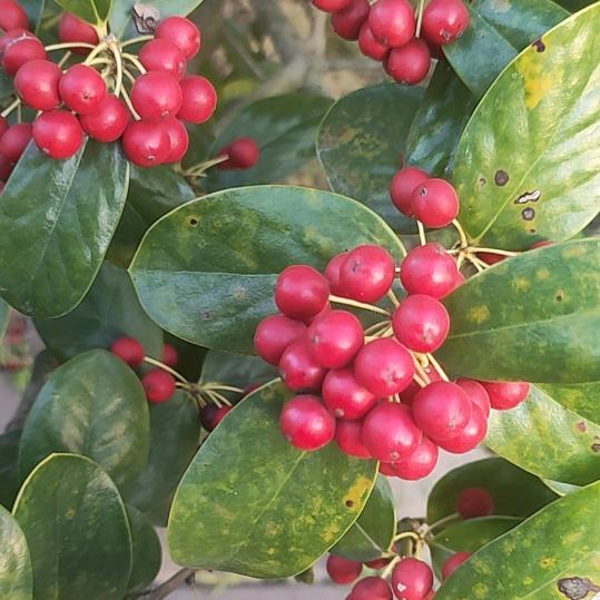 无锡苏州常州防水保洁有限公司