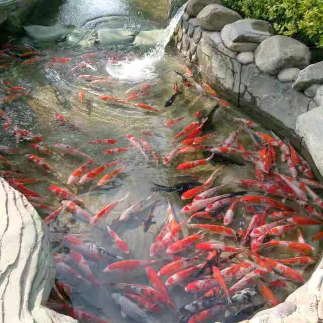 温馨家庭幸福多