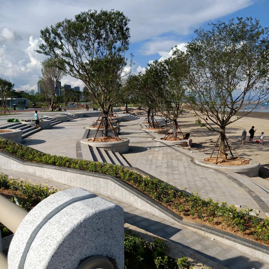 努力仰望阳光ㄟ