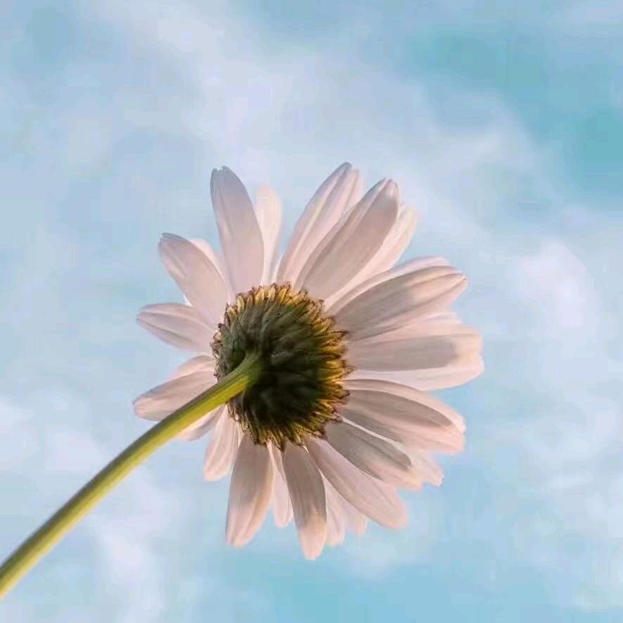 沂蒙好物