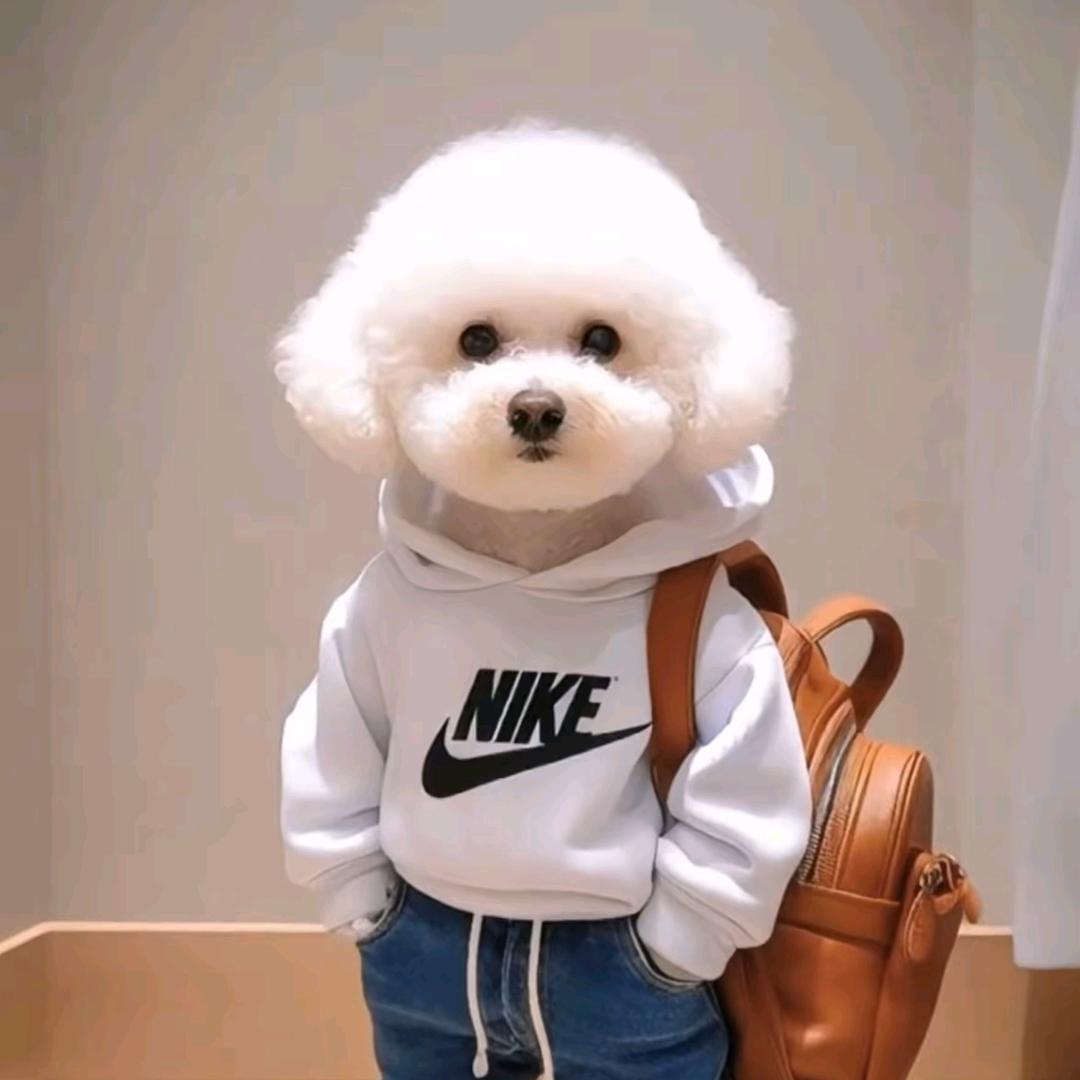 俗人