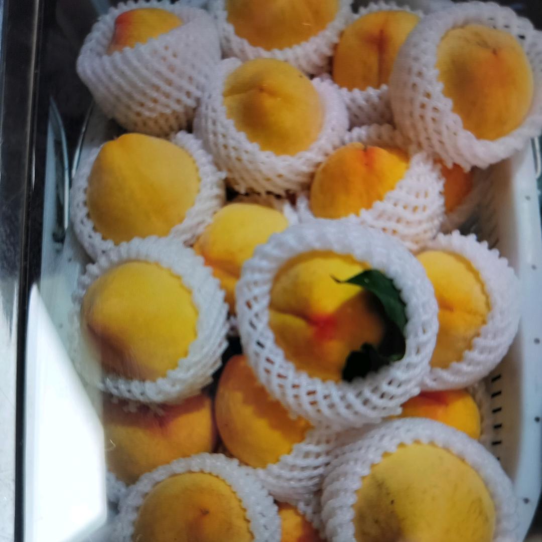 田园归居