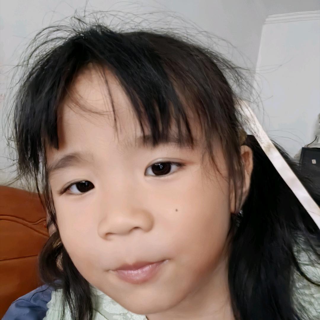 三只熊