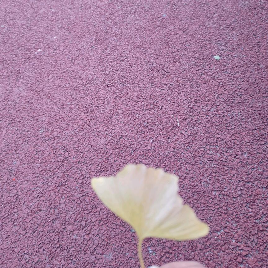 自愈