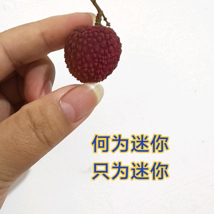 玫瑰之爱