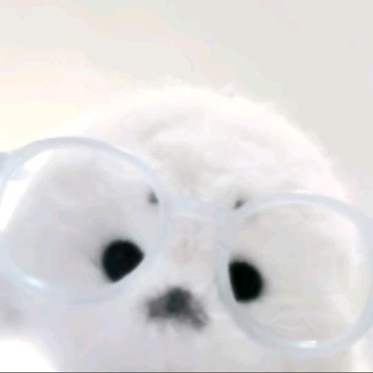 小郁宅゛