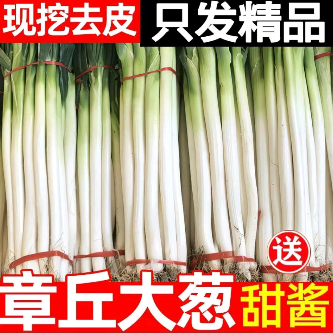 AAA-山东大葱批发王哥