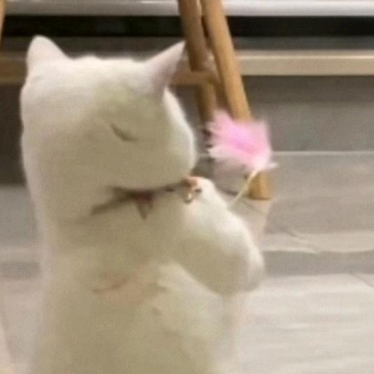 久伴ㅤ