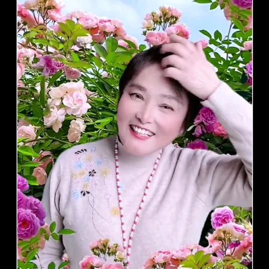 彩虹🌈—勿连赞